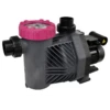 Bomba De Filtración BWT Eurostar HF II -Piscinas Artículos Tienda bomba bwt eurostar hf
